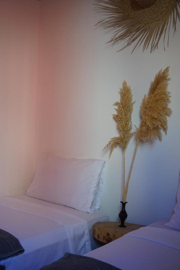 Auberge de jeunesse Caban Surf à Tamraght Extérieur photo
